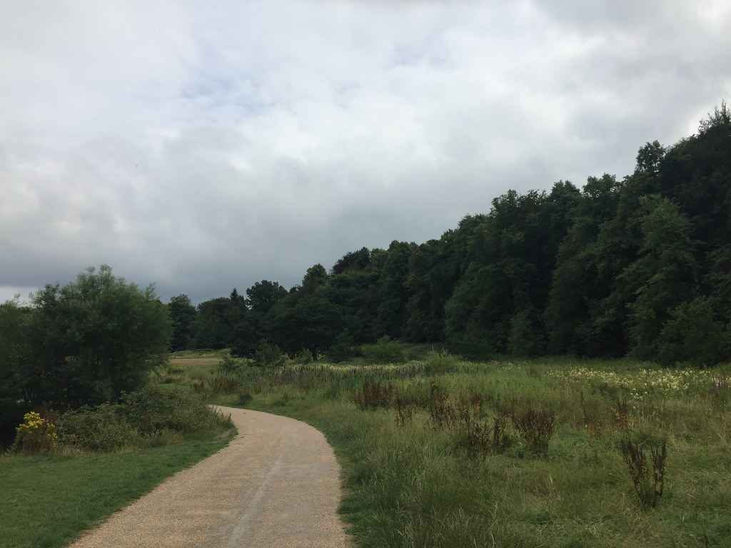walking track in carrs park wilmslow